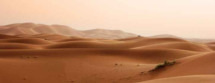 daylight desert drought dry